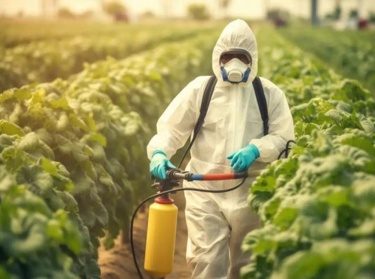 EU nastavlja forsirati upotrebu kontroverznog pesticida glifosata