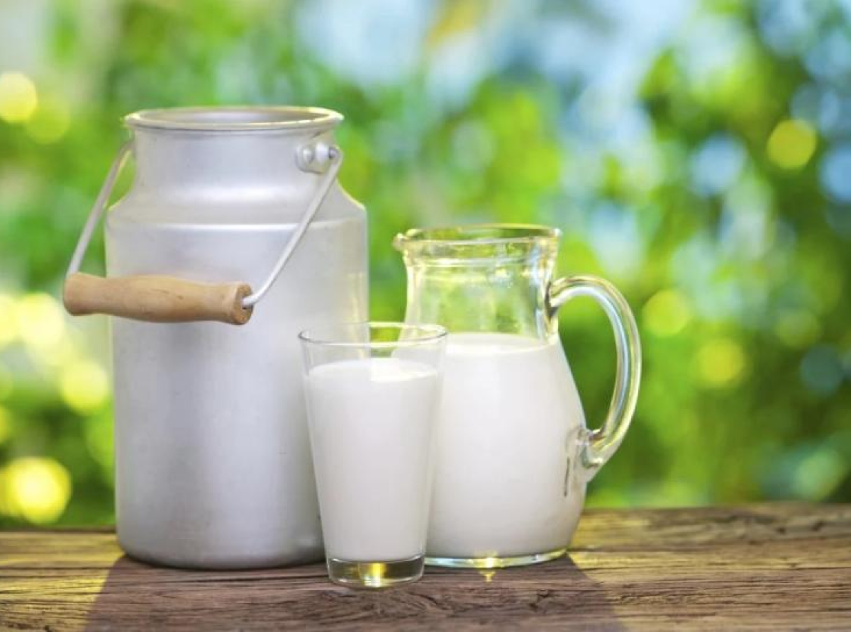 Smanjena proizvodnja mlijeka u BiH