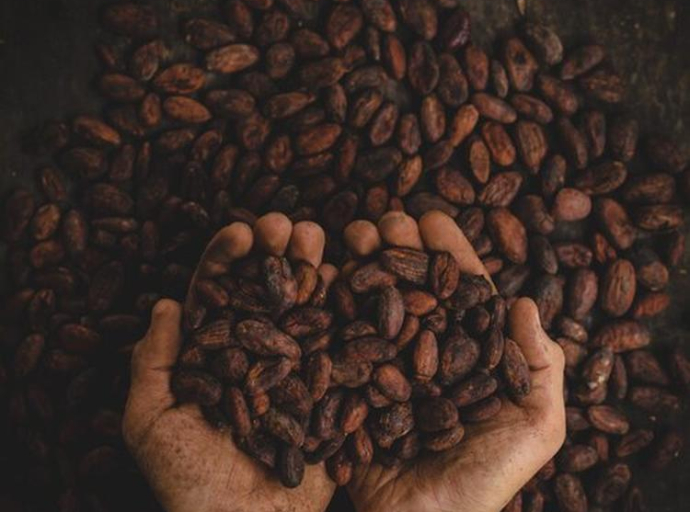 Šta su to fair trade proizvodi i zašto su važni?