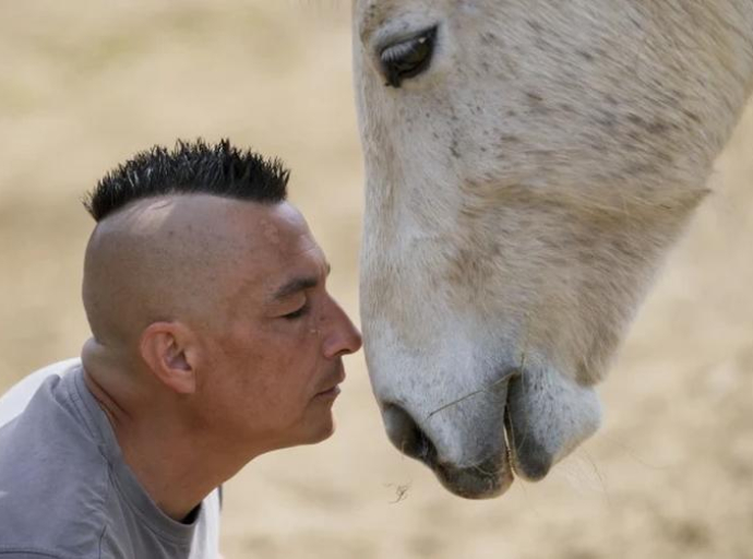 Jedini azil za konje na Balkanu je u Lapovu - godinama se stara za desetine životinja