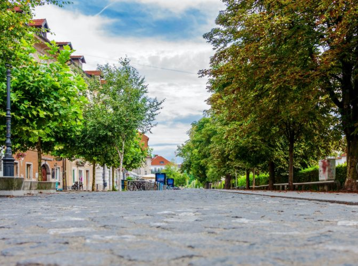 Važnost zelenila za smanjenje toplinskih otoka