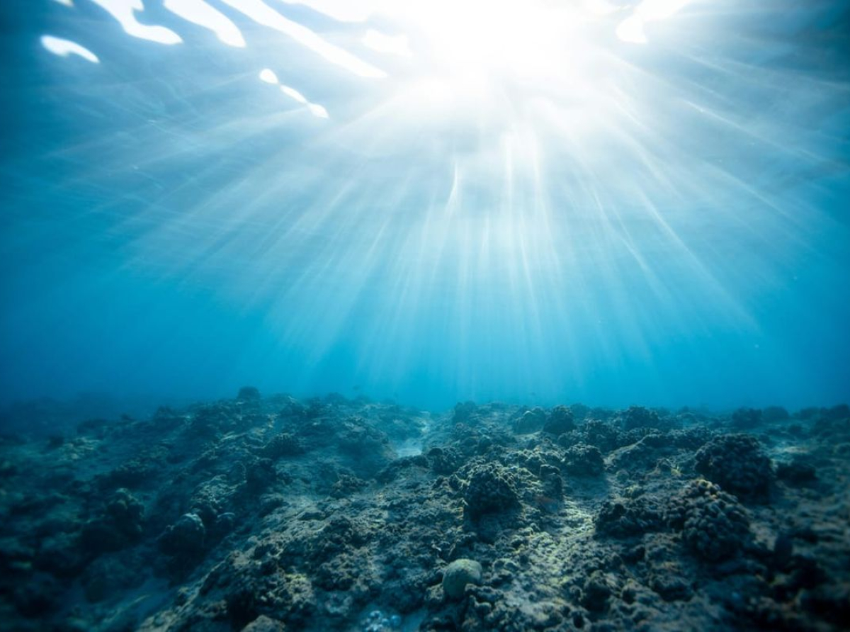 Neum Underwater Film Festival