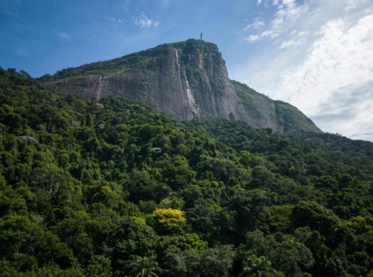 Neuhvatljivo planinsko stvorenje pronađeno u Brazilu