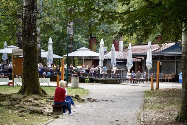 restoran Labud na Vrelu Bosne Foto D. Begovic 3 628x420