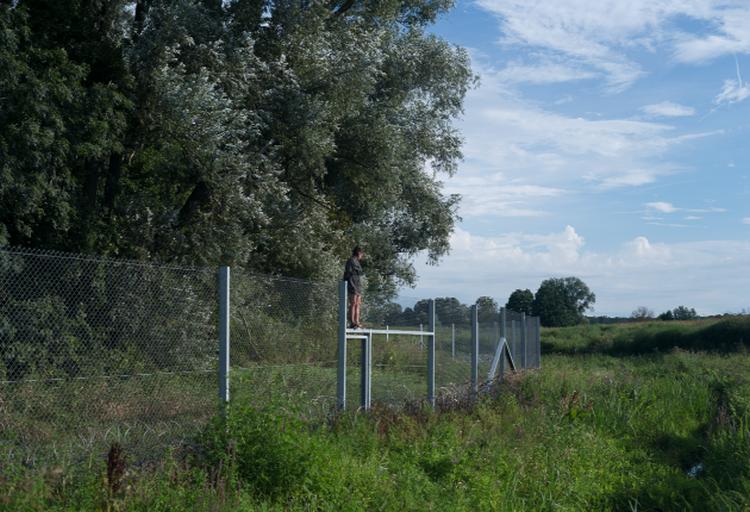 fencing borders Tomislav Turkovićjpg