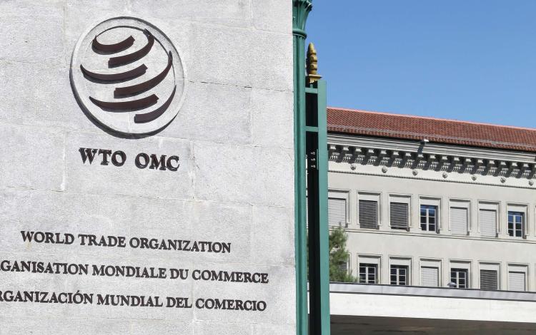 Svjetska trgovinska organizacija WTO STO