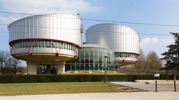 strazbur evropski sud za ljudska prava foto wikipedia