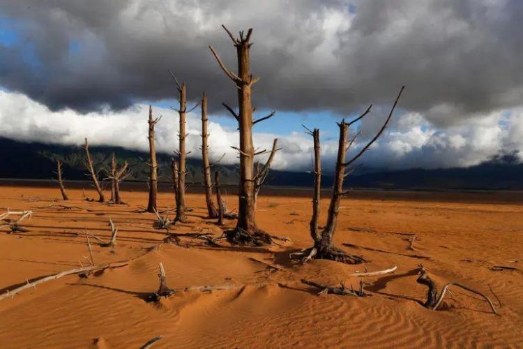 suša pustinja foto EPA