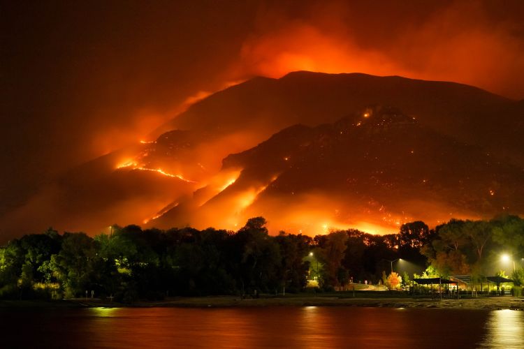 šumski požar foto Mike Newbry unsplash