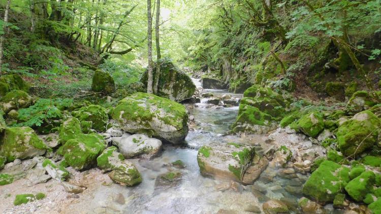 Posljednje netaknute evropske rijeke: Mogu li naučnici spriječiti 50 brana?