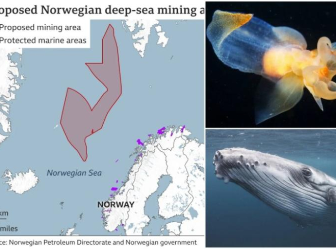 Norveška će prva na svijetu odobriti rudarenje okeanskog dna