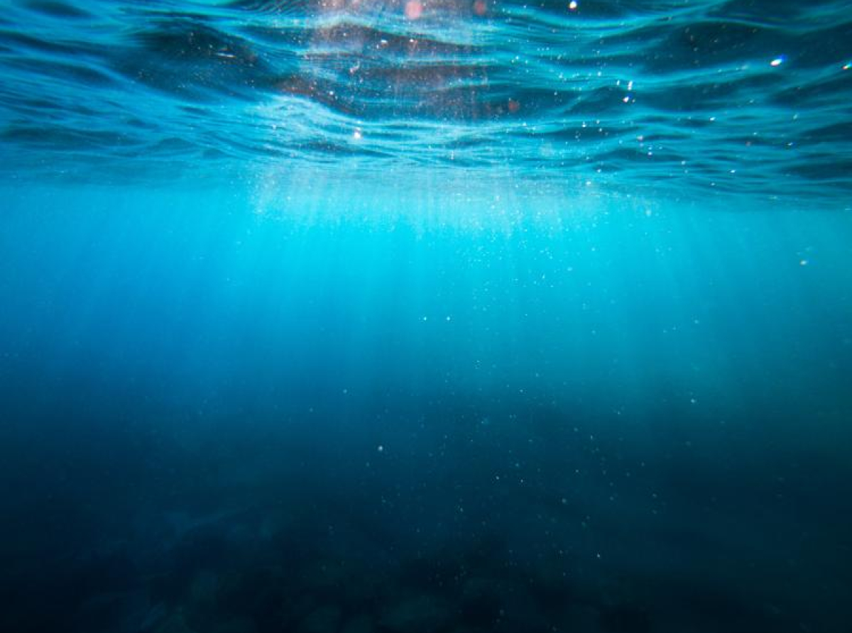 Okeani su suočeni s “trostrukom prijetnjom” - ekstremne vrućine, gubitka kisika i zakiseljavanja