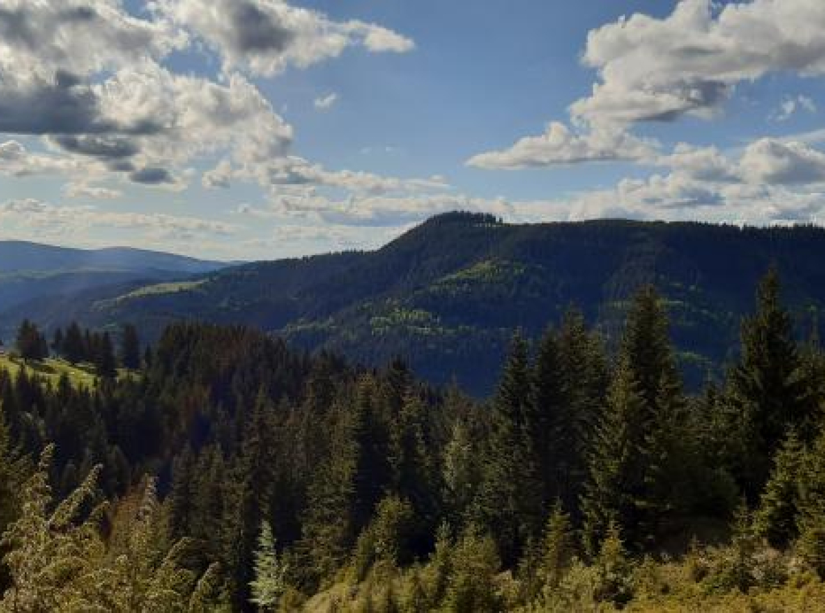 Podnesena inicijativa za ocjenu ustavnosti izmjena i dopuna Zakona o geološkim istraživanjima  