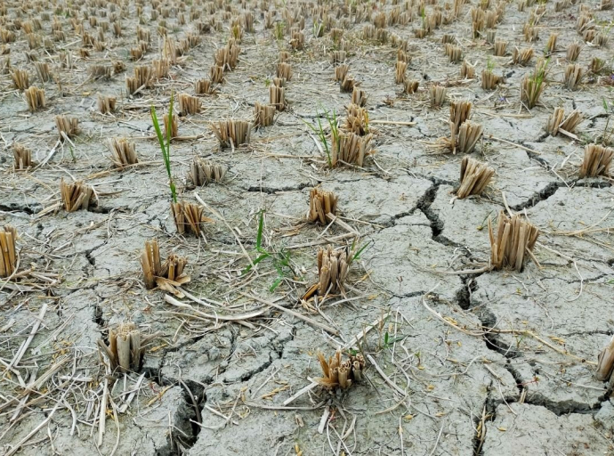 Otkriveno koliko tačno klimatske promjene pojačavaju intenzitet ekstremnih suša