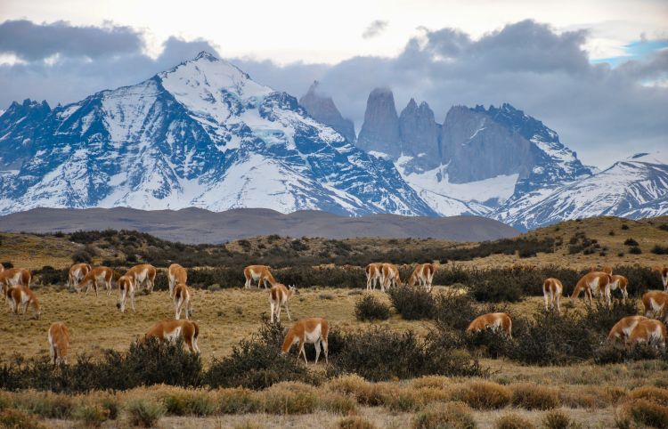 Čile Torres de Paine Chile foto Alex Wolowiecki unsplash