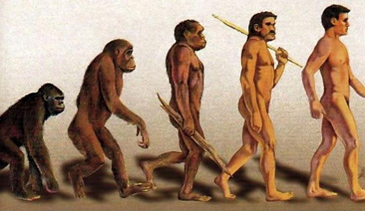9slider teorija evolucije