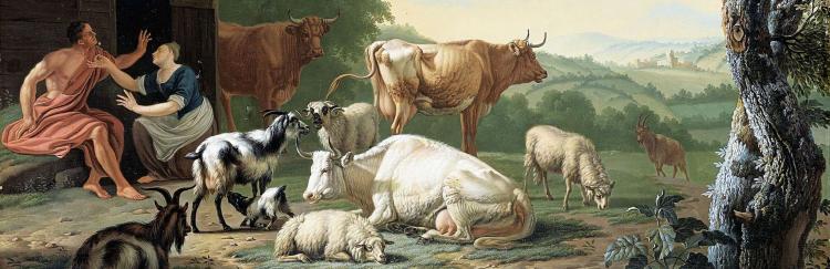 gool herders