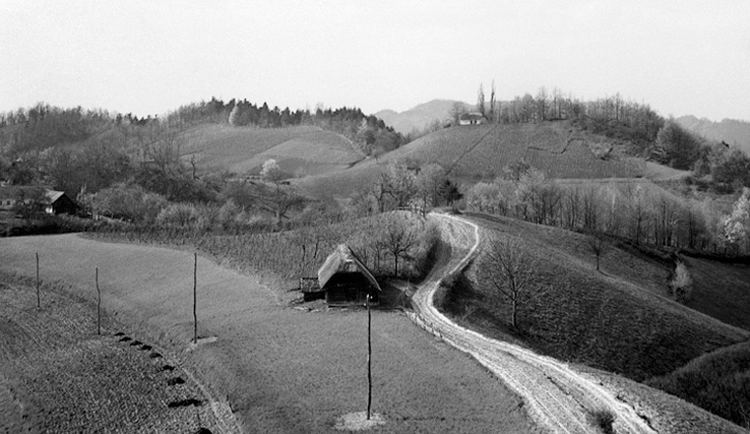 slavka bijela cesta 1958