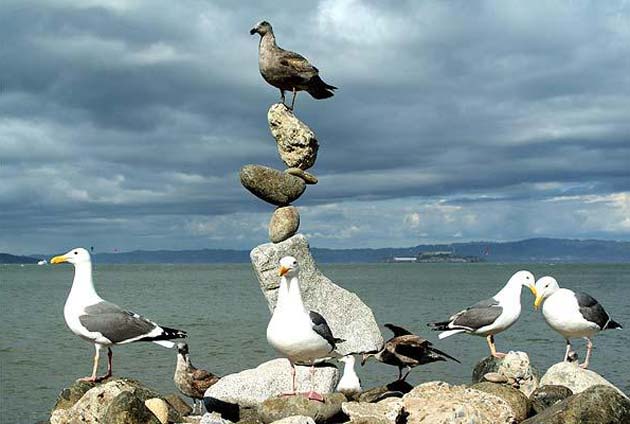 balansiranje kamenja2