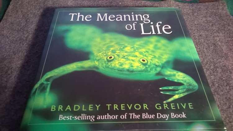 the meaning of life by bradley trevor greive d2c6e629f22a577c42024bb2153a1817