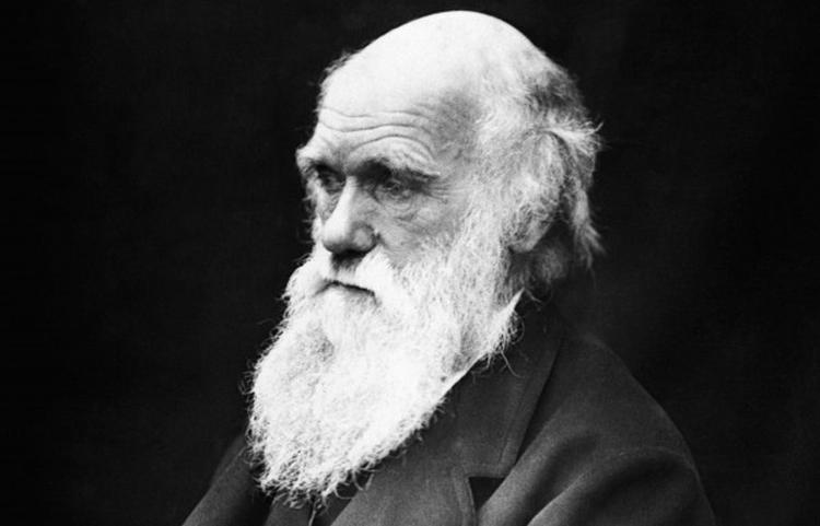 Charles Darwin Old