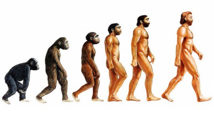 vp013 darvinizam darvinizam i evolucija coveka