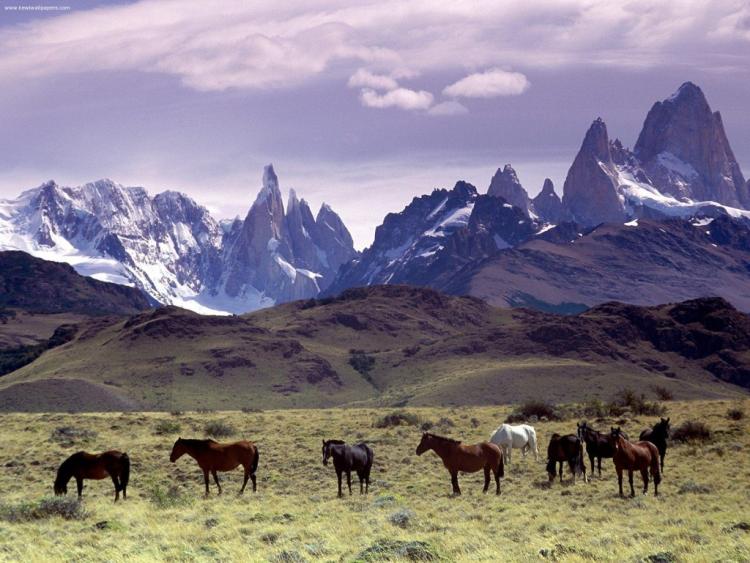 patagonia1