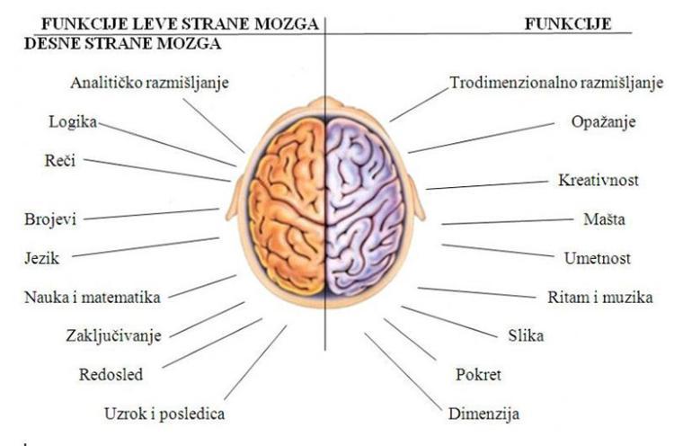 funkcije mozga