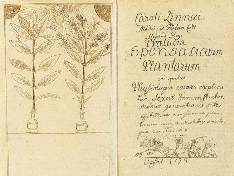 images 2018 12 Linn Praeludia Sponsaliorum Plantarum 572045231