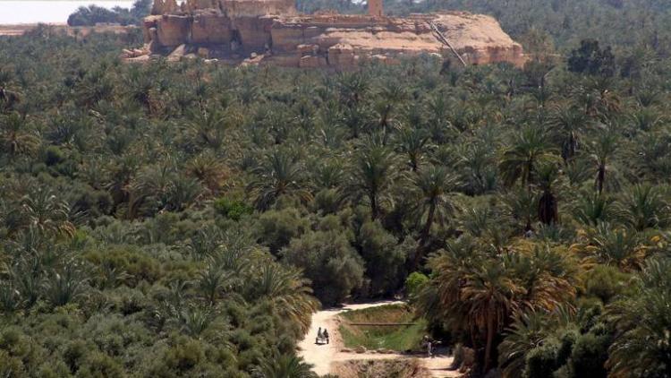 oaza siwa egipat.epa 