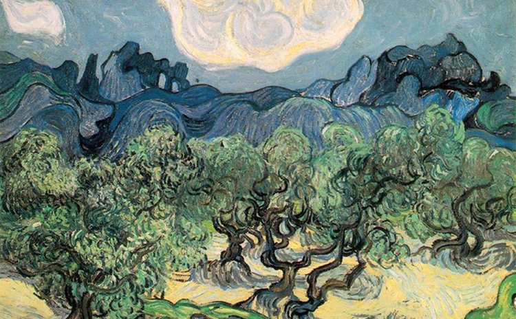Vincent van Gogh 1853 1890 The Olive Trees 1889