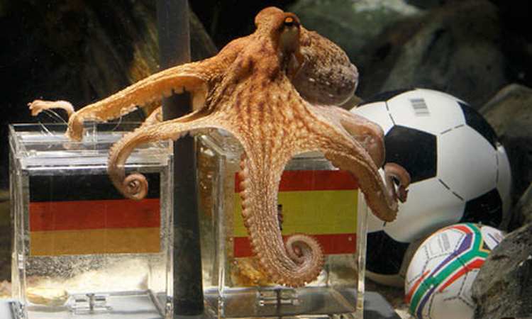 paul the octopus 007