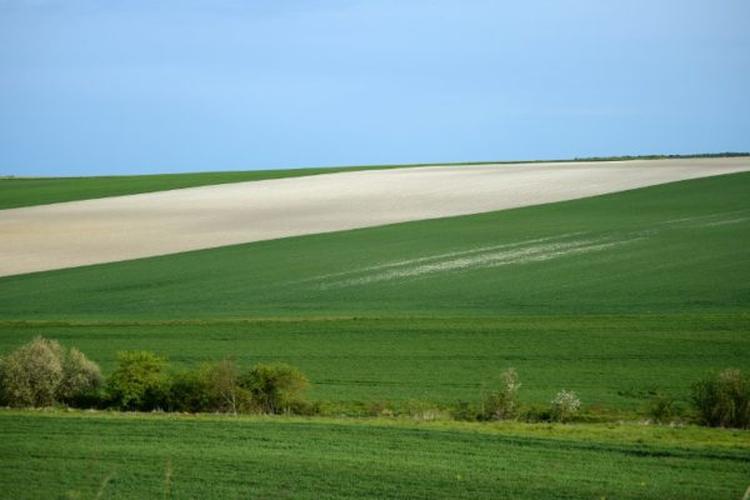 poljoprivreda polje žita francuska afp Guillaume Souvant AFP e1531380406875