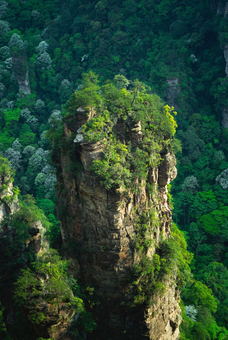 Zhangjiajie foto Robin Noguier Tslr2zdQdnw unsplash