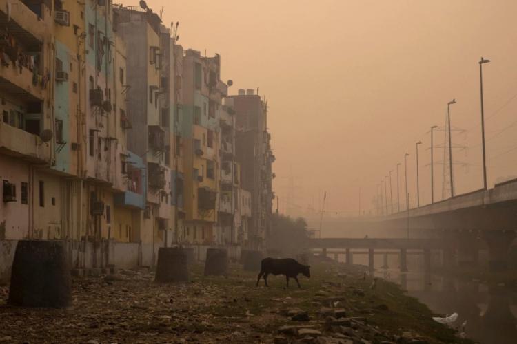 Indija zagađenje