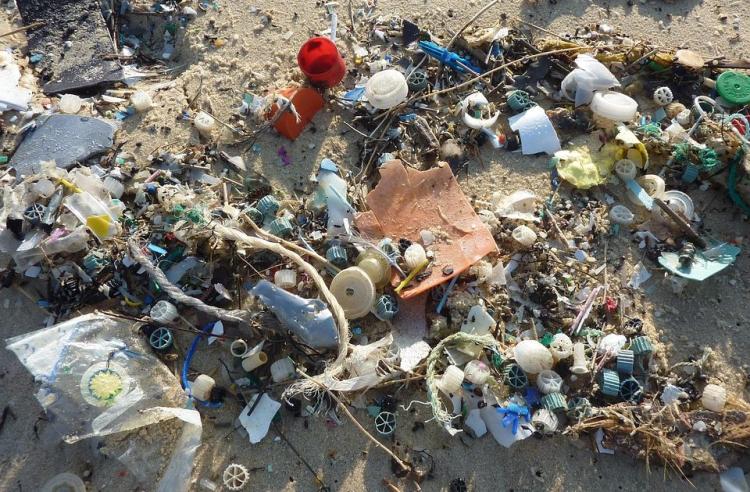 plastika obala pxb