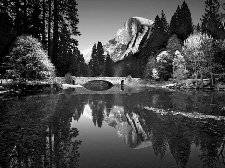 ansel adams