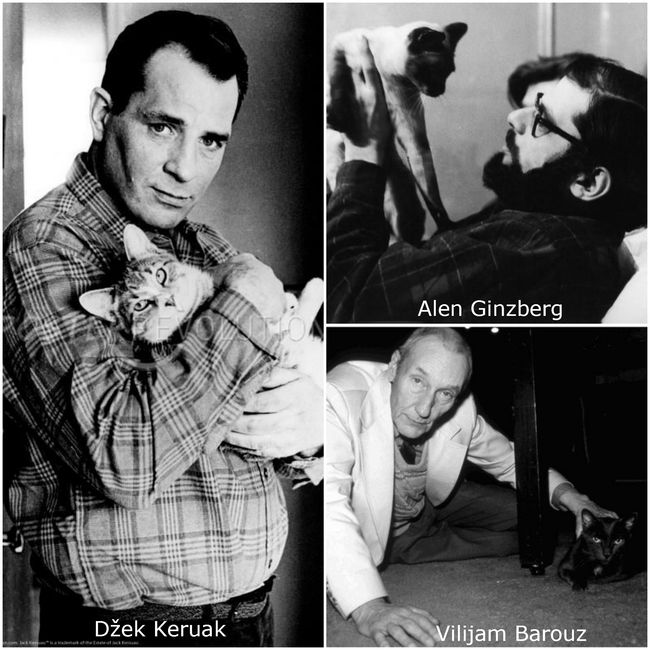 Keruak, Ginzberg i Berouz sa kućnim ljubimcima
