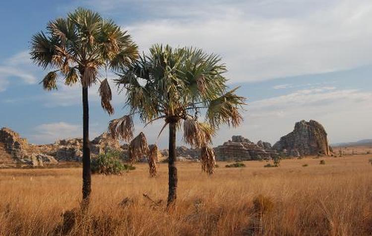 Isalo National Park South West Madagascar 109997 5