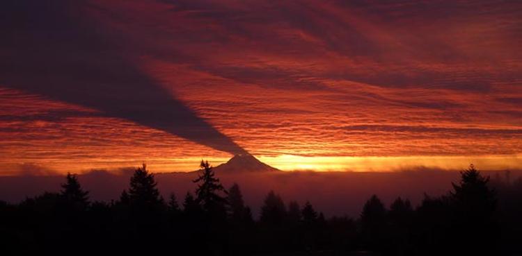 Mount Rainier sjenka