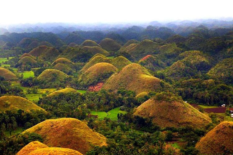 chocolate hills 3