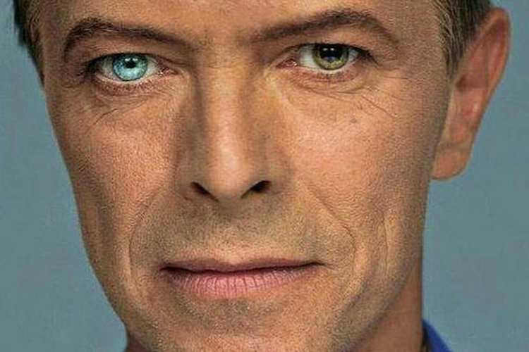 davidbowie