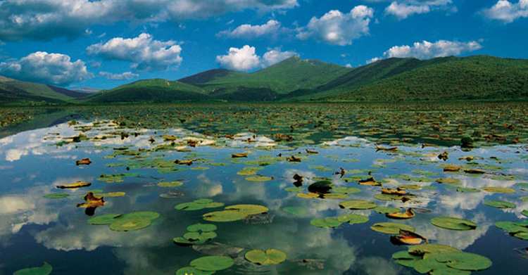 hutovo blato neretva nature