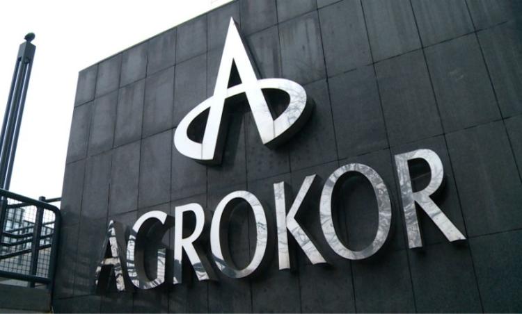 1agrokor glavna n1