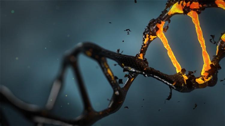 dna 1903875 1280