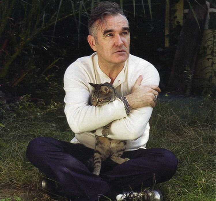 morrissey cats tumblr 2