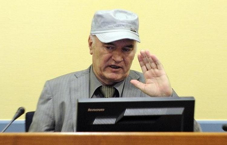 8mladic