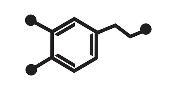 dopamin 620x330