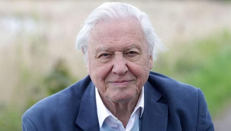 attenborough 600x340