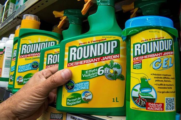 roundup